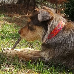 Meet your Posher, Iain